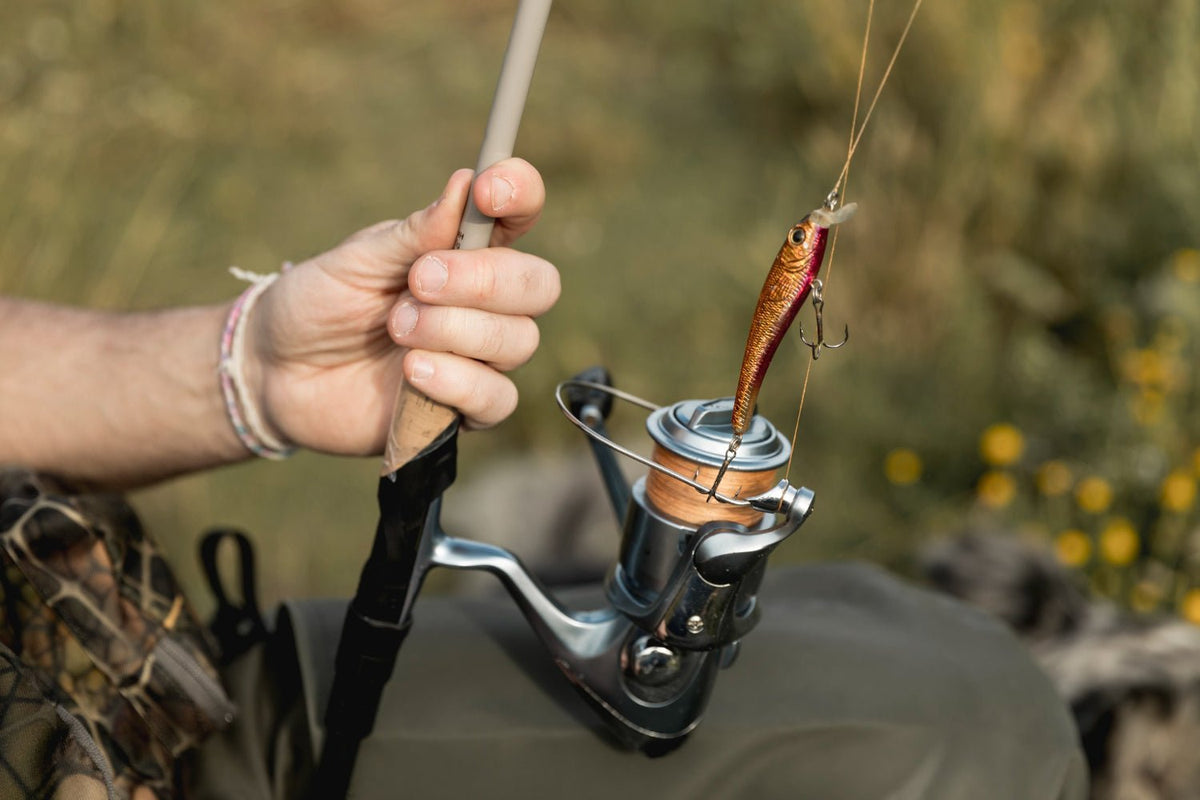 The Top Fishing Reels for Any Angler: A Comprehensive Guide BUZZERFISH The Top Fishing Reels for Any Angler: A Comprehensive Guide BUZZERFISH