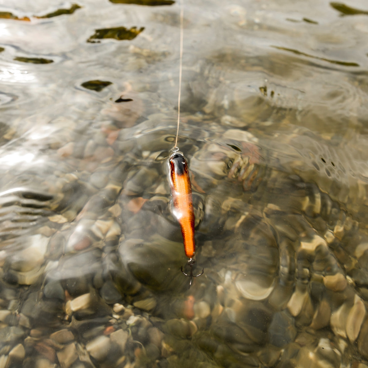 Seasonal Fishing Tips: What to Catch and How to Prepare – BUZZERFISH