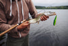 Catch and Release: Best Practices for Anglers Who Care About Conservation - BUZZERFISH