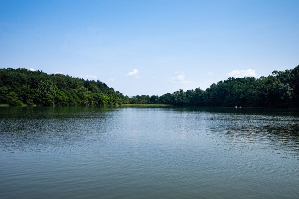 Amazing Rivers To Fish Exploring Fly Fishing Destinations: Top 5 Rivers for Trout Fishing Adv ...