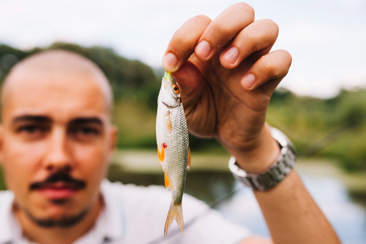 Hidden Gems: Lesser-Known Fishing Destinations That Are Worth Discover ...