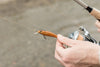 How to Choose the Right Fishing Rod and Reel for Your Needs - BUZZERFISH