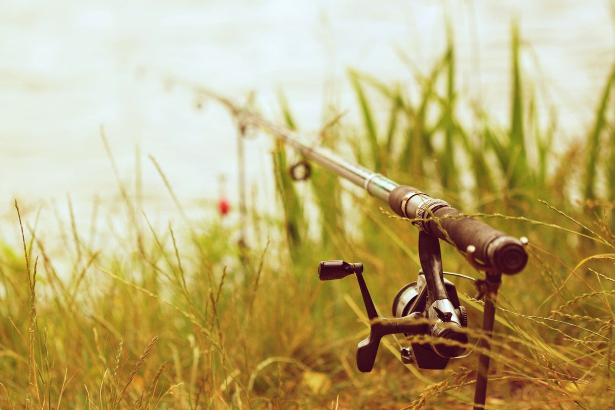 Target Training Fish How to Spot and Target Trophy Fish – BUZZERFISH