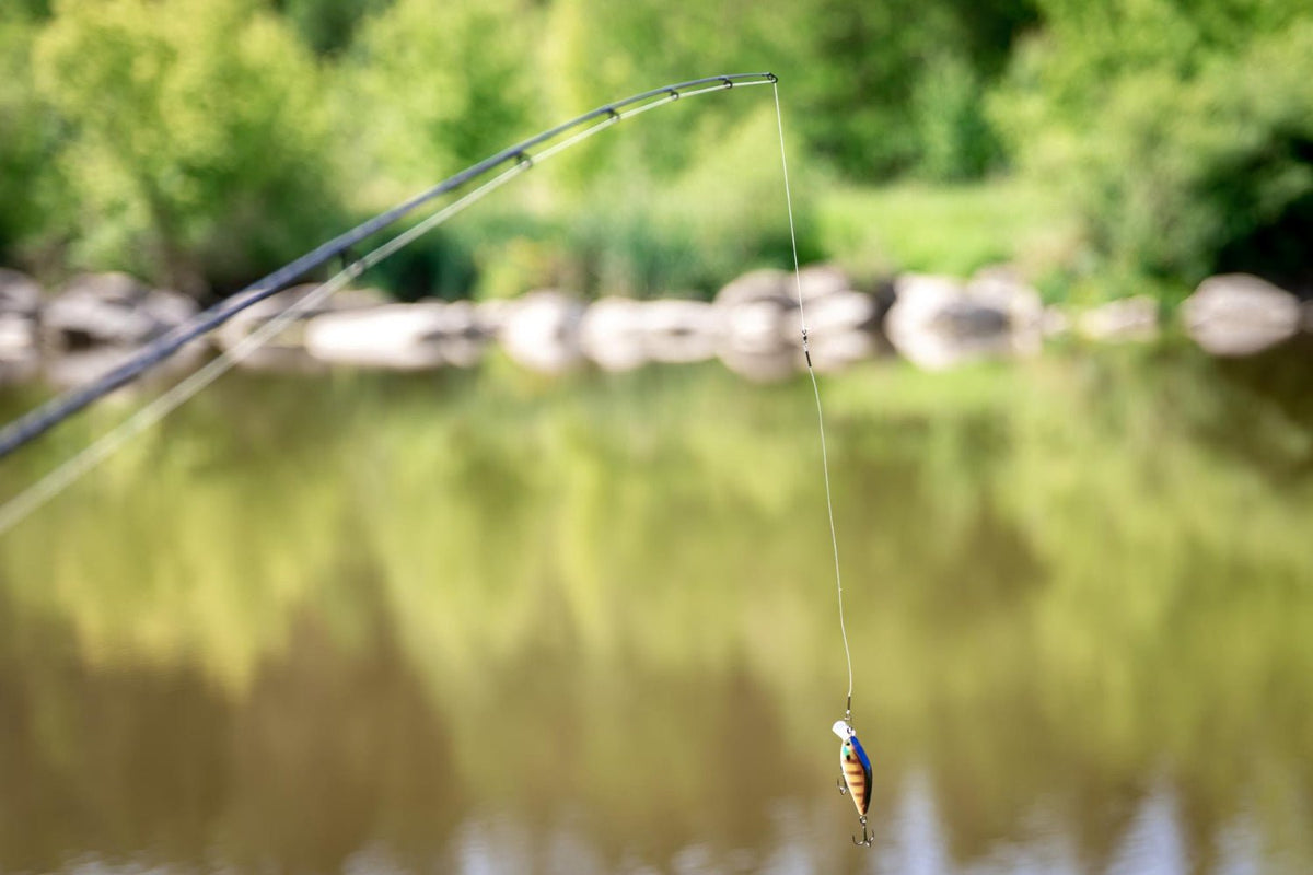 Seasonal Fishing Strategies: How to Adapt Your Techniques for Each Sea ...