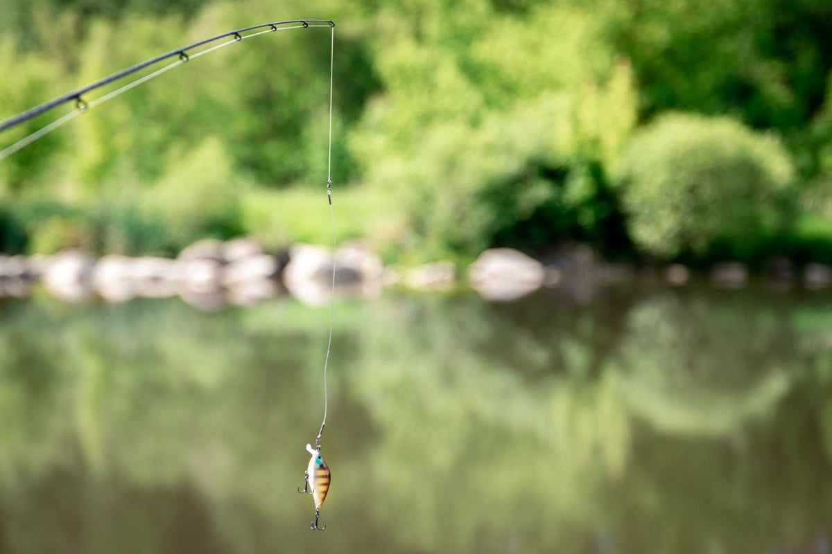 Spring Fishing Spring Fishing 101: Tips and Tactics for a Successful Season Opener ...
