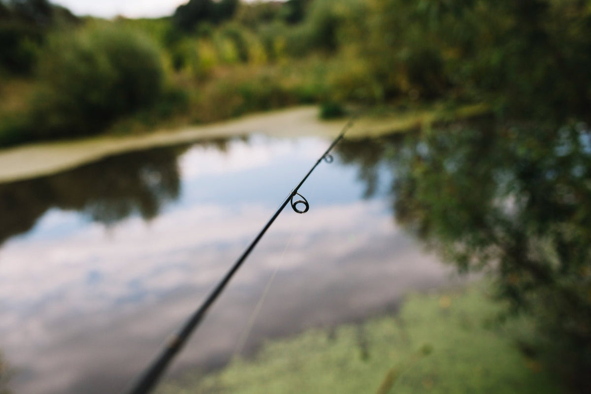 Spring Fly Fishing Adventures: Exploring Top Destinations and Tactics ...