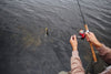 The Role of Weather in Fishing: How to Use Conditions to Your Advantage - BUZZERFISH
