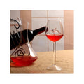 Dolphin Wine Glasses - BuzzerFish
