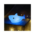 Shark LED Night Lamp - BuzzerFish