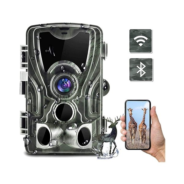 WIFI Live Trail Camera - BuzzerFish – BUZZERFISH